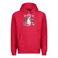Cardinal the menzingers 1 Premium Hoodie - linhVisuals
