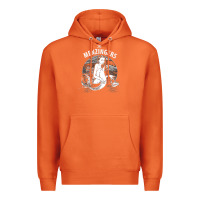 Carrot the menzingers 1 Premium Hoodie - linhVisuals