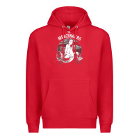 Red the menzingers 1 Premium Hoodie - linhVisuals