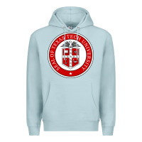 Blue Mist Texas Tech University Premium Hoodie - linhVisuals