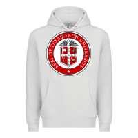 Dove Grey Texas Tech University Premium Hoodie - linhVisuals