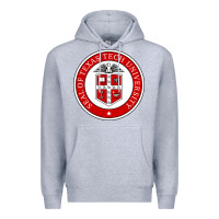 Heather Grey Texas Tech University Premium Hoodie - linhVisuals
