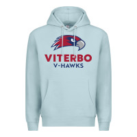 Blue Mist v-h4wks, viterbo, education Premium Hoodie - linhVisuals