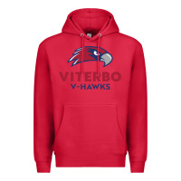 Cardinal v-h4wks, viterbo, education Premium Hoodie - linhVisuals