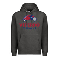 Charcoal Heather v-h4wks, viterbo, education Premium Hoodie - linhVisuals
