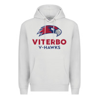 Dove Grey v-h4wks, viterbo, education Premium Hoodie - linhVisuals