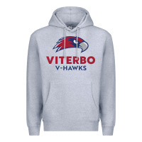 Heather Grey v-h4wks, viterbo, education Premium Hoodie - linhVisuals