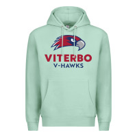 Seafoam v-h4wks, viterbo, education Premium Hoodie - linhVisuals