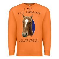 Carrot I met lil Sebastian Premium Sweatshirt - Bettercallsaul