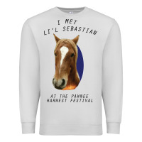Dove Grey I met lil Sebastian Premium Sweatshirt - Bettercallsaul