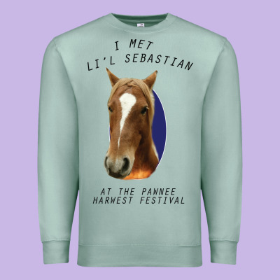I Met Lil Sebastian Premium Sweatshirt Designed By Bettercallsaul