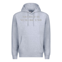 Heather Grey arnold is numero uno Premium Hoodie - linhVisuals