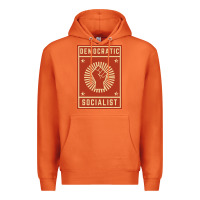 Carrot democratic socialist Premium Hoodie - linhVisuals