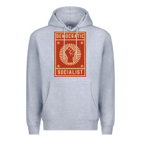 Heather Grey democratic socialist Premium Hoodie - linhVisuals