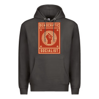 Smoke democratic socialist Premium Hoodie - linhVisuals