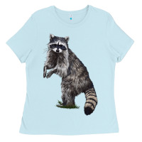 Baby Blue Raccoon Illustrations Ladies Tee - LillyAllenDesigns
