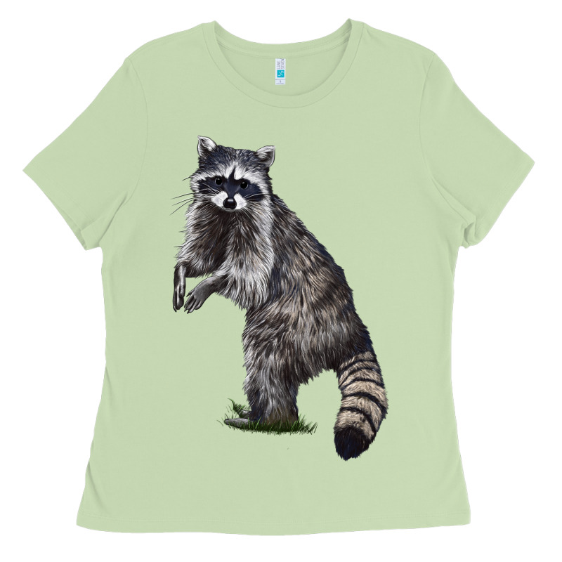 Raccoon Illustrations Ladies Tee by LillyAllenDesigns | Teevron