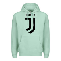 Seafoam juve Premium Hoodie - linhVisuals