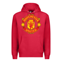Cardinal manchester Premium Hoodie - linhVisuals