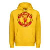 Lemon manchester Premium Hoodie - linhVisuals