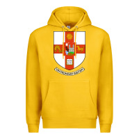 Lemon university bristol Premium Hoodie - linhVisuals