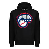 Black new hampshire fisher cats Premium Hoodie - linhVisuals