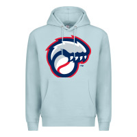 Blue Mist new hampshire fisher cats Premium Hoodie - linhVisuals