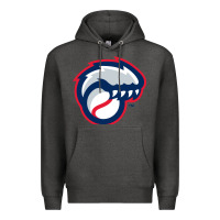 Charcoal Heather new hampshire fisher cats Premium Hoodie - linhVisuals