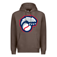 New Hampshire Fisher Cats Premium Hoodie | Teevron