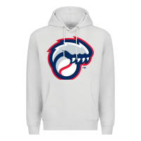 Dove Grey new hampshire fisher cats Premium Hoodie - linhVisuals