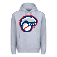 Heather Grey new hampshire fisher cats Premium Hoodie - linhVisuals