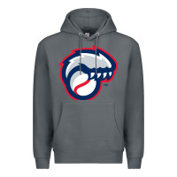 Rock new hampshire fisher cats Premium Hoodie - linhVisuals