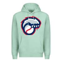 Seafoam new hampshire fisher cats Premium Hoodie - linhVisuals