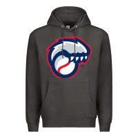 Smoke new hampshire fisher cats Premium Hoodie - linhVisuals