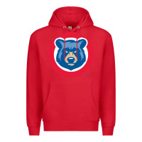 Red tennessee smokies Premium Hoodie - linhVisuals