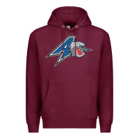 Burgundy unc asheville bulldogs Premium Hoodie - linhVisuals
