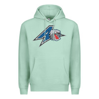 Seafoam unc asheville bulldogs Premium Hoodie - linhVisuals