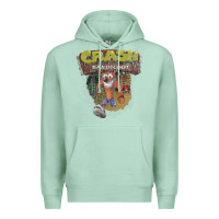 Seafoam crash bandicoot 1966 Premium Hoodie - linhVisuals