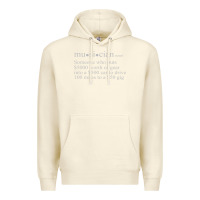 Sandshell musician definition Premium Hoodie - linhVisuals