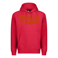 Cardinal formula 1 Premium Hoodie - linhVisuals