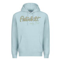 Blue Mist peterbilt class pays   trucker quote Premium Hoodie - linhVisuals