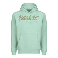 Seafoam peterbilt class pays   trucker quote Premium Hoodie - linhVisuals