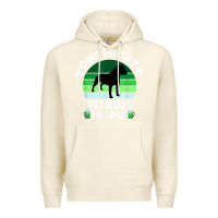 Sandshell funny st patrick's day one lucky pitbull mama pitbulldog t shirt Premium Hoodie - linhVisuals