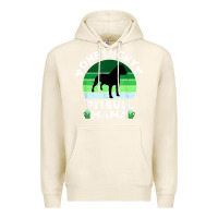 Tofu funny st patrick's day one lucky pitbull mama pitbulldog t shirt Premium Hoodie - linhVisuals