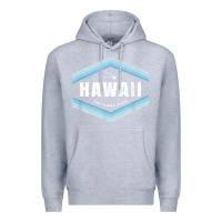 Heather Grey hawaii the aloha state   aloha hawaiian from the islands!! t shirt Premium Hoodie - linhVisuals
