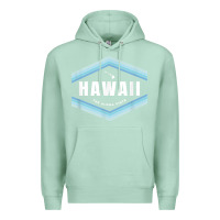 Seafoam hawaii the aloha state   aloha hawaiian from the islands!! t shirt Premium Hoodie - linhVisuals