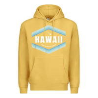 Antique Gold hawaii the aloha state   aloha hawaiian from the islands!! t shirt Premium Hoodie - linhVisuals