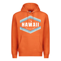 Carrot hawaii the aloha state   aloha hawaiian from the islands!! t shirt Premium Hoodie - linhVisuals
