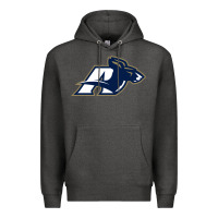 Charcoal Heather akron university zips Premium Hoodie - linhVisuals