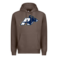 Coffee akron university zips Premium Hoodie - linhVisuals